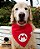 Bandana para cães Super Mario - Imagem 1