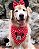 Kit Bandana e Laço Minnie Vermelho - Imagem 2