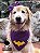 Kit Bandana e Laço Batgirl - Imagem 3