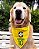 Bandana para cães copa mundo Brasil - Imagem 4