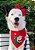 Kit Bandana Laço e bandana Árvore de Natal - Imagem 1