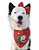 Kit Bandana Laço e bandana Árvore de Natal - Imagem 2