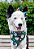 Kit Laço e bandana Natal pets - Imagem 1