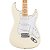 Kit Completo Com Escudo Knob Para Guitarra Stratocaster SSS - Imagem 2