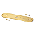 Control Plate Placa De Controle Dourada Para Guitarra Telecaster Vintage - Imagem 1