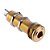 Jack Conector P10 Cilíndrico Stéreo Dourado Para Guitarra Baixo - Imagem 1