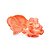 Cogumelo Shimeji Rosa Fungo de Quintal - Imagem 4