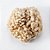 Cogumelo Shimeji Branco Fungo de Quintal - Imagem 2
