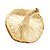 Cogumelo Shitake Grande (G) Fungo de Quintal - Imagem 1