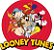 Pelúcia Taz Looney Tunes Baby 22cm Brinquedo Original Warner Bros Super Macio e Fofinho - Imagem 4