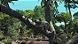Zoo Tycoon: Ultimate Animal Collection Xbox One Mídia Digital - Imagem 3
