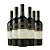 Kit 6 Vinhos Tinto Chileno Santa Ema Gran Reserva Merlot 2022 - Imagem 1