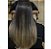 Borabella Perfecta Progressiva Bio Definitive 12 Oils 1L - Imagem 2