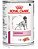 Royal Canin Cardiac Lata - 410G - Imagem 1