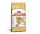 Royal Canin Yorkshire Adult 8+ -  2,5Kg - Imagem 2