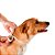 Coleira Scalibor 48 Cm Para Cães Pequenos e Médios - Imagem 3
