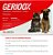 Gerioox 30 Comprimidos - Imagem 2