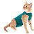 Roupa Cirurgica Gato - 2 - Pet Med - Imagem 1