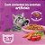 Ração Whiskas Filhotes 900g - Imagem 3