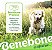 Brinquedo Benebone Fishbone Tamanho Grande - Imagem 6