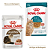Sachê Royal Canin Feline Ageing 11+ 85g - Imagem 2