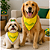 Bandana do Brasil - Imagem 1