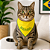 Bandana do Brasil - Imagem 4