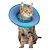 Colar Soft Ultraleve Para Gatos Tamanho PP - Imagem 1