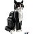LEGO 21349 Ideas - Gato de Smoking - Imagem 4
