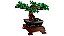 LEGO 10281 Creator Expert - Árvore Bonsai - Imagem 3