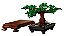 LEGO 10281 Creator Expert - Árvore Bonsai - Imagem 5