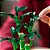 LEGO 10344 Botanical - Bambu da Sorte - Imagem 6