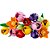 LEGO 11501 Coleção Botânica - Buquê de Tulipas - Imagem 3