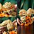 LEGO 72160 Pokémon - Arcanine - Imagem 6