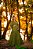 VESTIDO BOHO CHIC GEDI - Imagem 1
