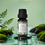 Óleo Essencial Eucalipto UOM 10ml | Alívio Respiratório - Imagem 1