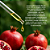 Óleo Vegetal de Romã UOM – Rejuvenescimento e Ação Antioxidante - Imagem 5
