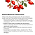 Óleo Vegetal Rosa Mosqueta Rubiginosa 250/500/1000ml - Imagem 4