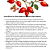 Óleo Vegetal Rosa Mosqueta Rubiginosa 250/500/1000ml - Imagem 3