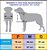 Porta de Passagem Pet Door Buddy Toys - Tamanho Grande G - Imagem 3