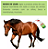 Citronela Spray Gatilho 500ml - Sanol Dog - Imagem 4