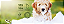 Higienizador de Patas Sanol Dog 250ml - Imagem 3