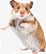 Serragem Maravalha Prensada Fina Peneirada 800g - Para Hamsters, Chinchila, Coelho, Ferrets, Porquinho-da-Índia etc - Imagem 5
