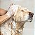 Kit Banho Sanol Dog com Shampoo Condicionador e Colônia - Imagem 8