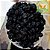 Blueberry (Mirtilo) - Imagem 1