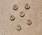 BOTÃO  MADEIRA LACINHO 1 CM - 6 UNIDADES - Imagem 1