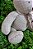 URSO MY LOVE  - M  COR BEGE ESTAMPADO - Imagem 2