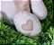 URSO MY LOVE  - M  COR BEGE ESTAMPA TRICÔ - Imagem 3