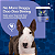 Coprofagia Naturvet - Inibidor da Vontade de Comer Fezes - 70 Petiscos Soft Chews - 154 Gramas - Imagem 3
