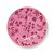 Prato Petit Four Jolie Flowers Rosa - Jolie - Pip Studio - Imagem 1